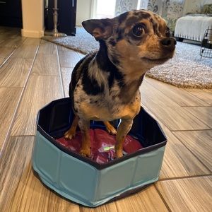 Meet your Posher, Steve